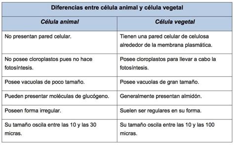 Tabla comparativa de refranes populares relacionados con el queso y el pan.