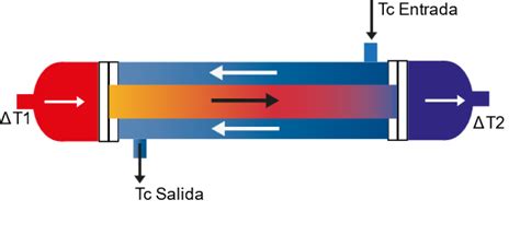 Esquema del intercambio de calor por contracorriente en atunes.