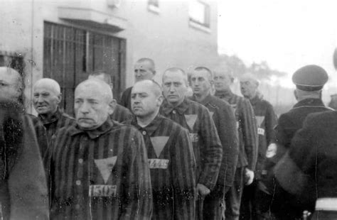 Ilustración del triángulo rosa, un símbolo histórico del movimiento homosexual.