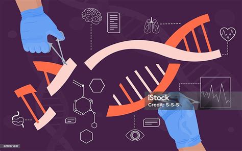Esquema que muestra la modificación genética: integración de genes de la planta 
