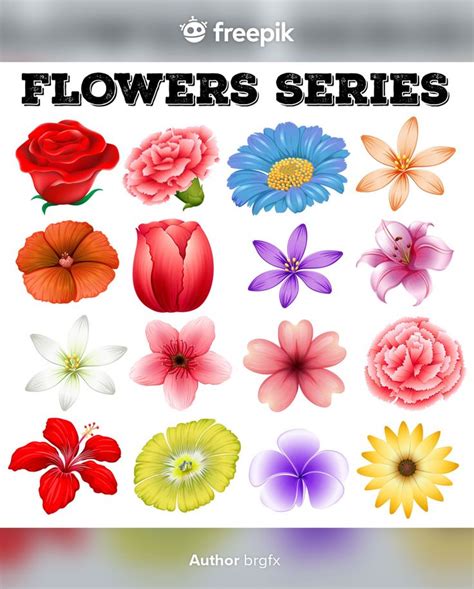 Ilustración de diferentes tipos de flores hechas con buttercream