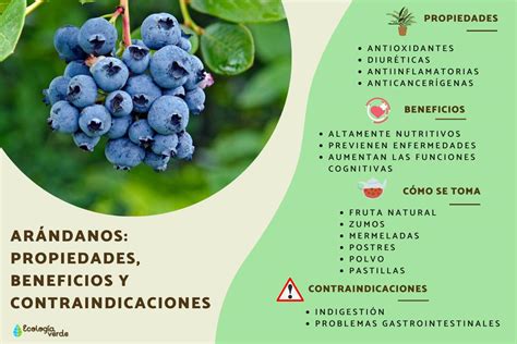 Infografía detallando los beneficios específicos de arándanos, uvas y col morada