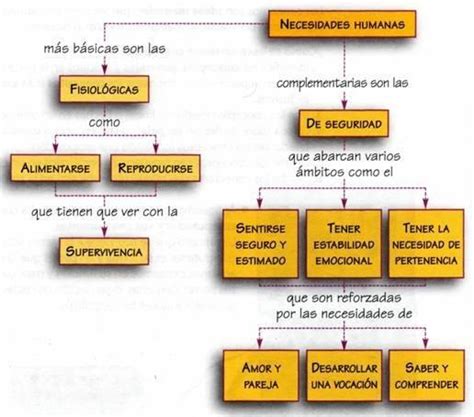 Esquema de las necesidades nutricionales y de radiación UVB para tortugas gestantes