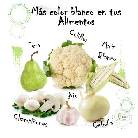 Ilustración de alimentos de color blanco como ajo, coliflor y cebolla.