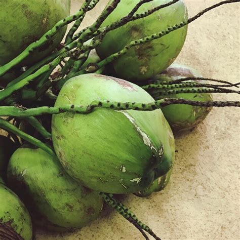 primer plano de los ingredientes frescos: cocos partidos, trozos de papelón, ramas de canela, harina de maíz
