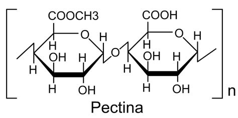 Esquema explicativo sobre la estructura molecular de la pectina y cómo forma redes para retener agua y formar geles