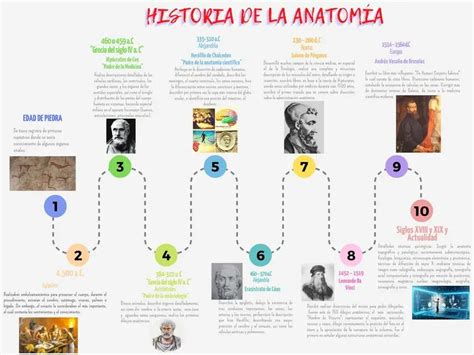 Mapa conceptual de la historia de las papas fritas con hitos clave y disputas de origen.