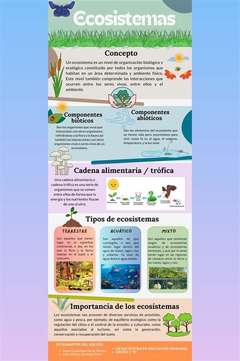 Infografía sobre el impacto del castor en el ecosistema patagónico
