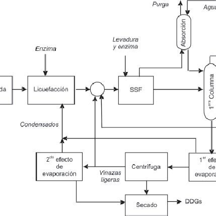 Esquema del proceso de obtención de lactosuero a partir de la leche.