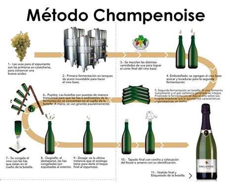 Esquema detallado del proceso de elaboración del método champenoise utilizado en la región de Champagne
