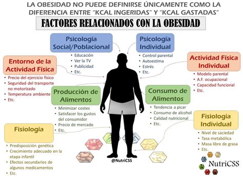 Infografía mostrando los diferentes factores (edad, ejercicio, dieta) que influyen en el color de la carne.