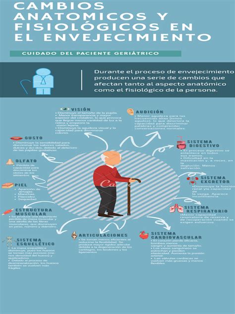 Infografía sobre los cambios fisiológicos y nutricionales en la tercera edad