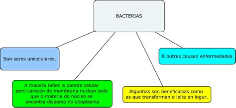 Esquema de las principales bacterias y mohos que afectan al pan