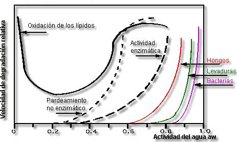 Gráfico de actividad de agua y crecimiento microbiano