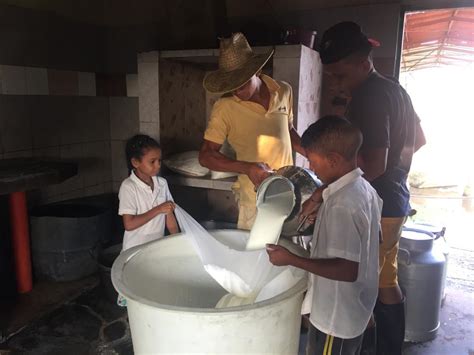 Proceso de colado de la leche de tigre para obtener un jugo suave y sin sólidos.