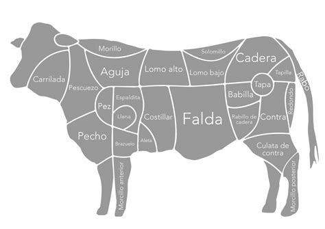 Esquema visual de las partes del vacuno destacando el corte de solomillo para el filet mignon