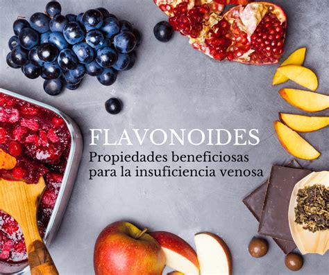esquema detallado de los beneficios de los flavonoides y fibra en el sistema digestivo
