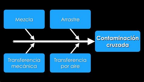 Esquema de las principales vías de contaminación de los mariscos