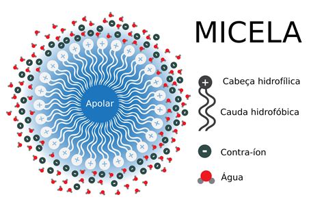 Infografía: Cómo funcionan las micelas en el agua micelar