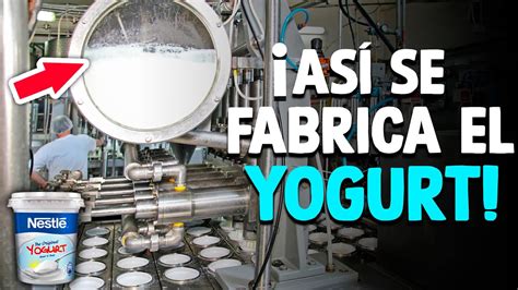 Infografía: Proceso de filtrado del yogur para obtener queso crema de kéfir