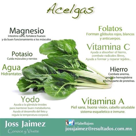 Infografía sobre el valor nutricional de la acelga (vitaminas y minerales).