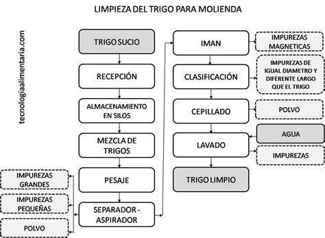 Esquema comparativo que muestra el proceso de obtención de harina natural mediante molienda de piedra frente al proceso industrial con aditivos químicos.