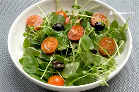 Fotografía de una ensalada fresca de berros y pepino dispuesta en un plato, resaltando sus colores naturales y texturas crujientes.