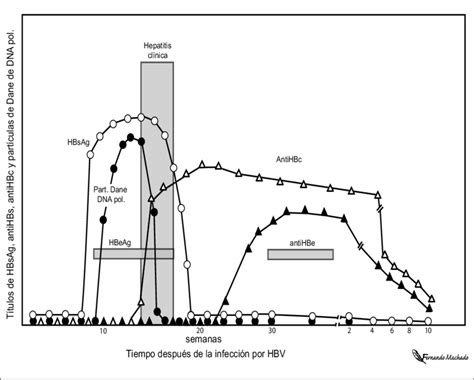 Gráfico de líneas mostrando la evolución de los marcadores serológicos (AAG-IgA, AAE-IgA y ATGt-IgA) a lo largo del tiempo de tratamiento con dieta sin gluten.