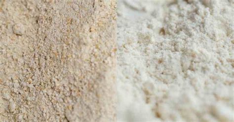 Esquema comparativo entre harina integral y harina blanca mostrando la presencia de salvado y gluten
