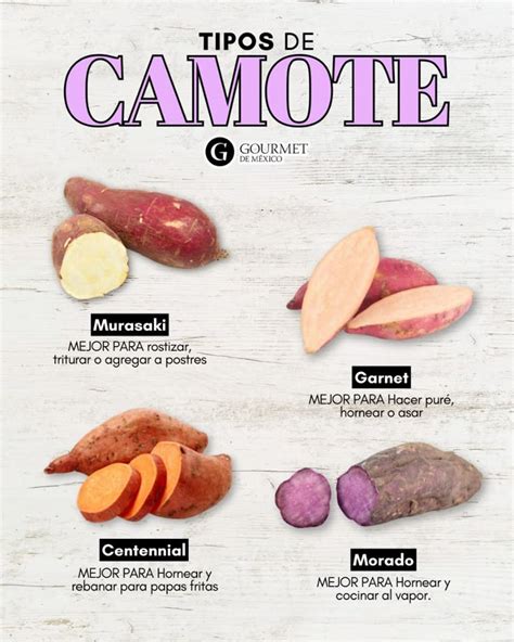 Variedad de camotes con diferentes colores de pulpa (naranja, morado, blanco) para ilustrar la diversidad de la especie.