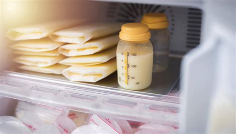 Ilustración mostrando la colocación correcta de los recipientes de leche materna en la parte trasera del refrigerador.