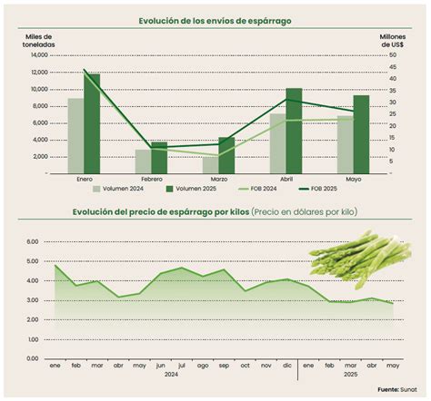 Gráfico de evolución del peso seco de coronas de espárrago a lo largo del año en sistemas de una cosecha anual.