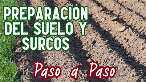 Esquema de preparación de surcos para el cultivo de espárragos.