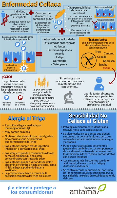 Infografía comparativa de los síntomas y mecanismos de la alergia al gluten, la enfermedad celíaca y la sensibilidad al gluten.