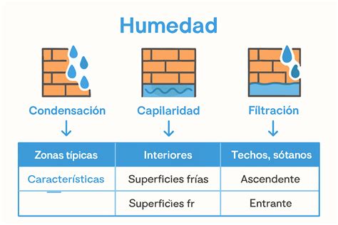 infografía comparando la absorción de humedad del arroz frente a otros métodos