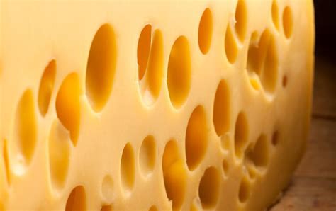 Fotografía de una gran rueda de queso Emmental con sus característicos agujeros.