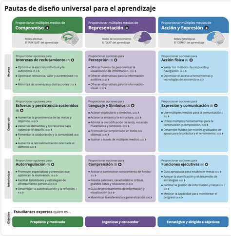 Infografía sobre la aplicación del Diseño Universal para el Aprendizaje (DUA) en el aula.