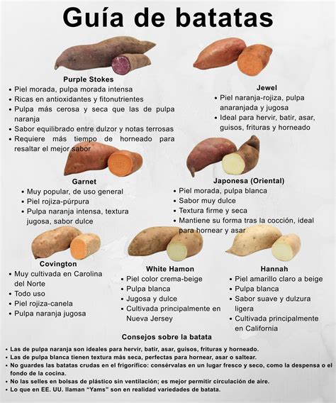 Infografía: Variedades de batatas (pulpa naranja, blanca y morada) y sus características principales.