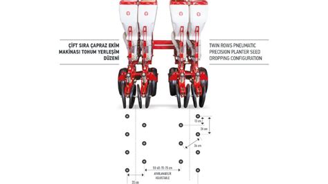 Diagrama que ilustra el sistema de doble hilera para el trasplante de cebollas en camellones.