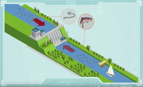 Esquema de una escalera de peces facilitando la migración del salmón