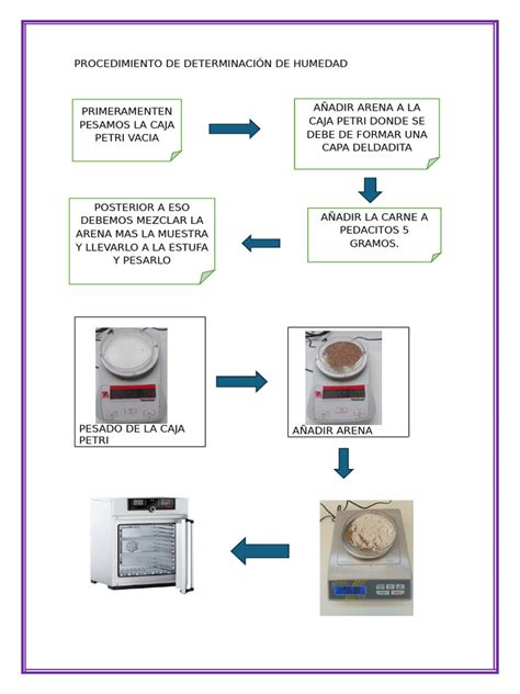 Ilustración del proceso de lavado y centrifugado para la determinación de gluten húmedo en harina.