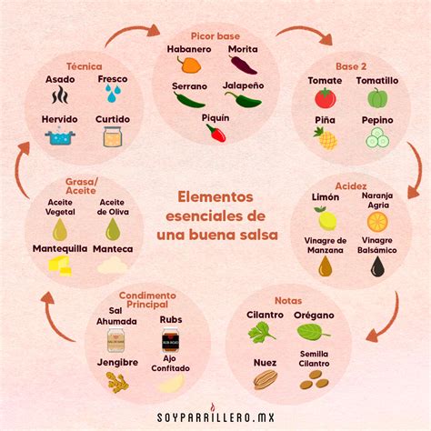 infografía sobre los elementos esenciales de una buena salsa: caldo, grasa, espesante y equilibrio de acidez