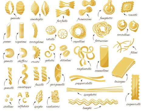 Infografía sobre los diferentes tipos de pasta italiana y sus salsas correspondientes