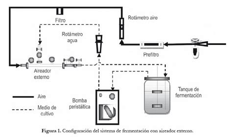 Esquema de un fermentador industrial con sistema de aireación