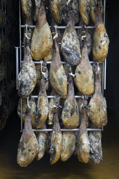 Fotografía de jamones en proceso de salazón