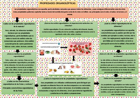 Esquema de las propiedades organolépticas de los alimentos