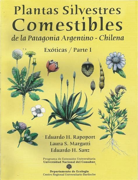 Ilustración de diversas plantas silvestres comestibles de la Patagonia