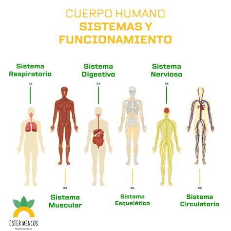 Infografía sobre el funcionamiento de un wellboat y los sistemas de control de parámetros durante el transporte marítimo de smolts.