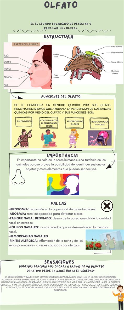 infografía comparando olores de diferentes cebos marinos