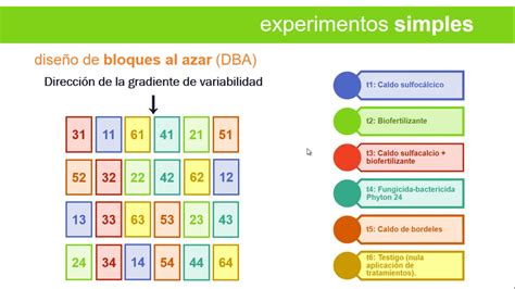 Esquema del diseño experimental en bloques completos al azar con arreglo factorial.